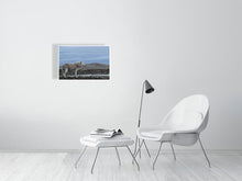 Load image into Gallery viewer, 6694790-1657657
