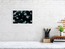 Load image into Gallery viewer, 6694389-1657451