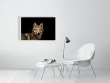 Load image into Gallery viewer, 6347605-1493996