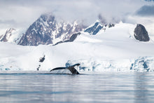 Load image into Gallery viewer, Frozen Waterfalls