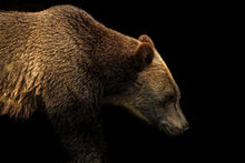 Load image into Gallery viewer, Old Soul