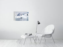 Load image into Gallery viewer, 6347647-1493926