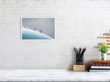 Load image into Gallery viewer, 6347696-1493949