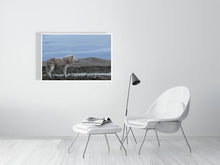 Load image into Gallery viewer, 6694790-1657658