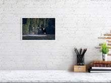 Load image into Gallery viewer, 6347577-1494002