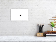 Load image into Gallery viewer, 6347694-1493933