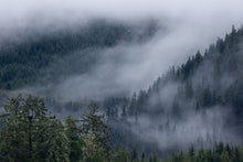 Load image into Gallery viewer, Misty Monogamy