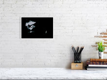 Load image into Gallery viewer, 6694376-1657468