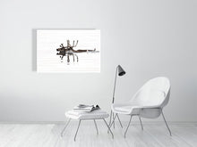 Load image into Gallery viewer, 6347629-1493992