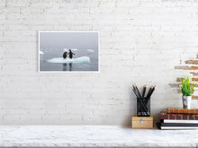 Load image into Gallery viewer, 6347631-1493917