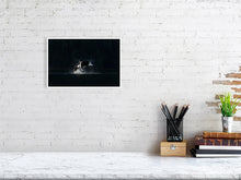 Load image into Gallery viewer, 6346508-1494046