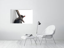 Load image into Gallery viewer, 6682343-1651507