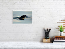 Load image into Gallery viewer, 6347564-1494006