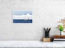 Load image into Gallery viewer, 6348753-1494130