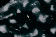 Load image into Gallery viewer, 6694389