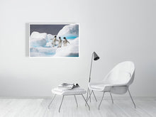 Load image into Gallery viewer, 6347651-1493617