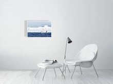 Load image into Gallery viewer, 6348753-1494131