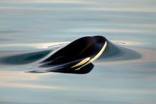 Load image into Gallery viewer, Surface Tension