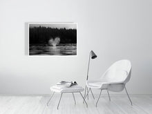 Load image into Gallery viewer, 6346559-1494028