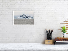 Load image into Gallery viewer, 6346232-1494078