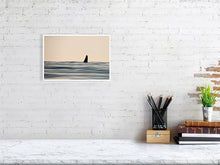 Load image into Gallery viewer, 6347558-1494018