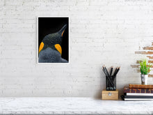 Load image into Gallery viewer, 6347680-1494134