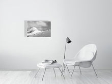 Load image into Gallery viewer, 6347698-1493938