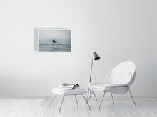 Load image into Gallery viewer, 6346509-1493882