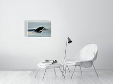 Load image into Gallery viewer, 6347564-1494007