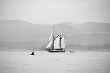 Load image into Gallery viewer, 1939