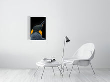 Load image into Gallery viewer, 6347680-1494135