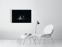 Load image into Gallery viewer, 6346508-1494048