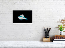 Load image into Gallery viewer, 6346460-1494090