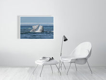 Load image into Gallery viewer, 6694394-1657448