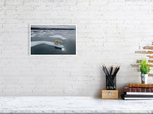 Load image into Gallery viewer, 6694485-1657370