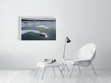 Load image into Gallery viewer, 6694485-1657372