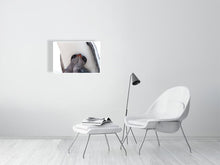 Load image into Gallery viewer, 6347686-1493930