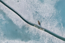 Load image into Gallery viewer, 6694492