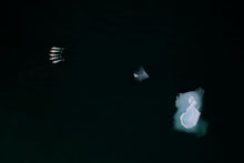 Load image into Gallery viewer, 6694472