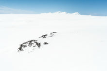 Load image into Gallery viewer, Never Stop Exploring