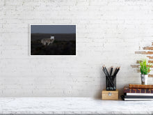 Load image into Gallery viewer, 6694380-1657461