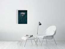 Load image into Gallery viewer, 6346523-1494039