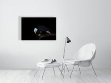 Load image into Gallery viewer, 6347752-1494128