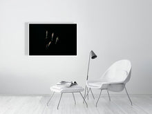 Load image into Gallery viewer, 6694467-1657406