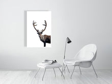 Load image into Gallery viewer, 6347703-1493674