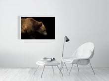 Load image into Gallery viewer, 6347553-1494024