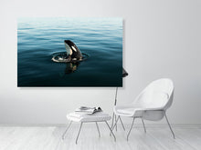 Load image into Gallery viewer, 6346503-1493880