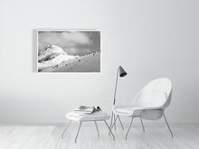 Load image into Gallery viewer, 6347698-1493939