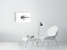 Load image into Gallery viewer, 6347629-1493991