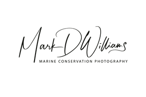 Marine Conservation Photography
